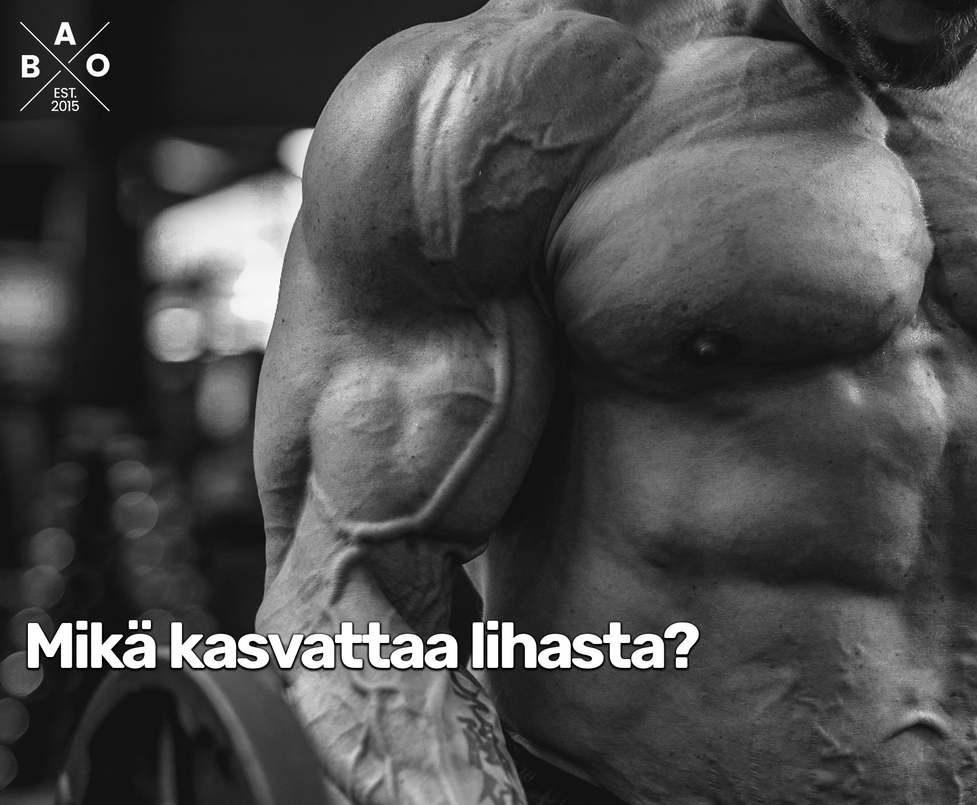 Mikä kasvattaa lihasta?