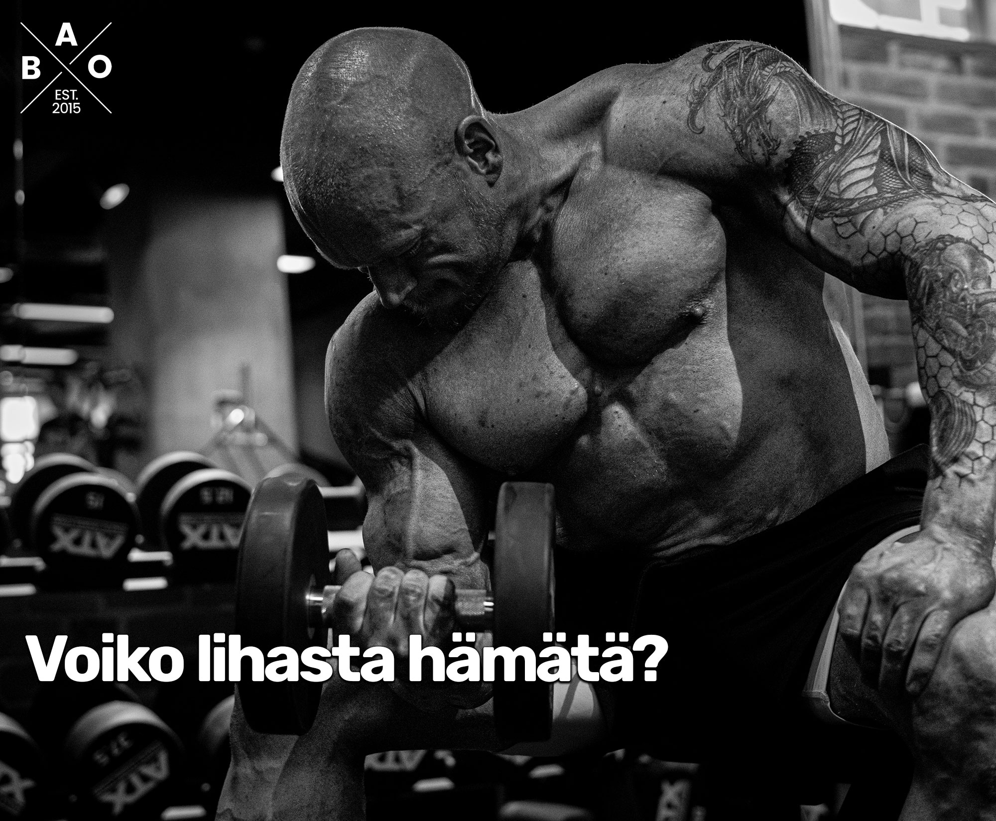 Voiko lihasta hämätä?