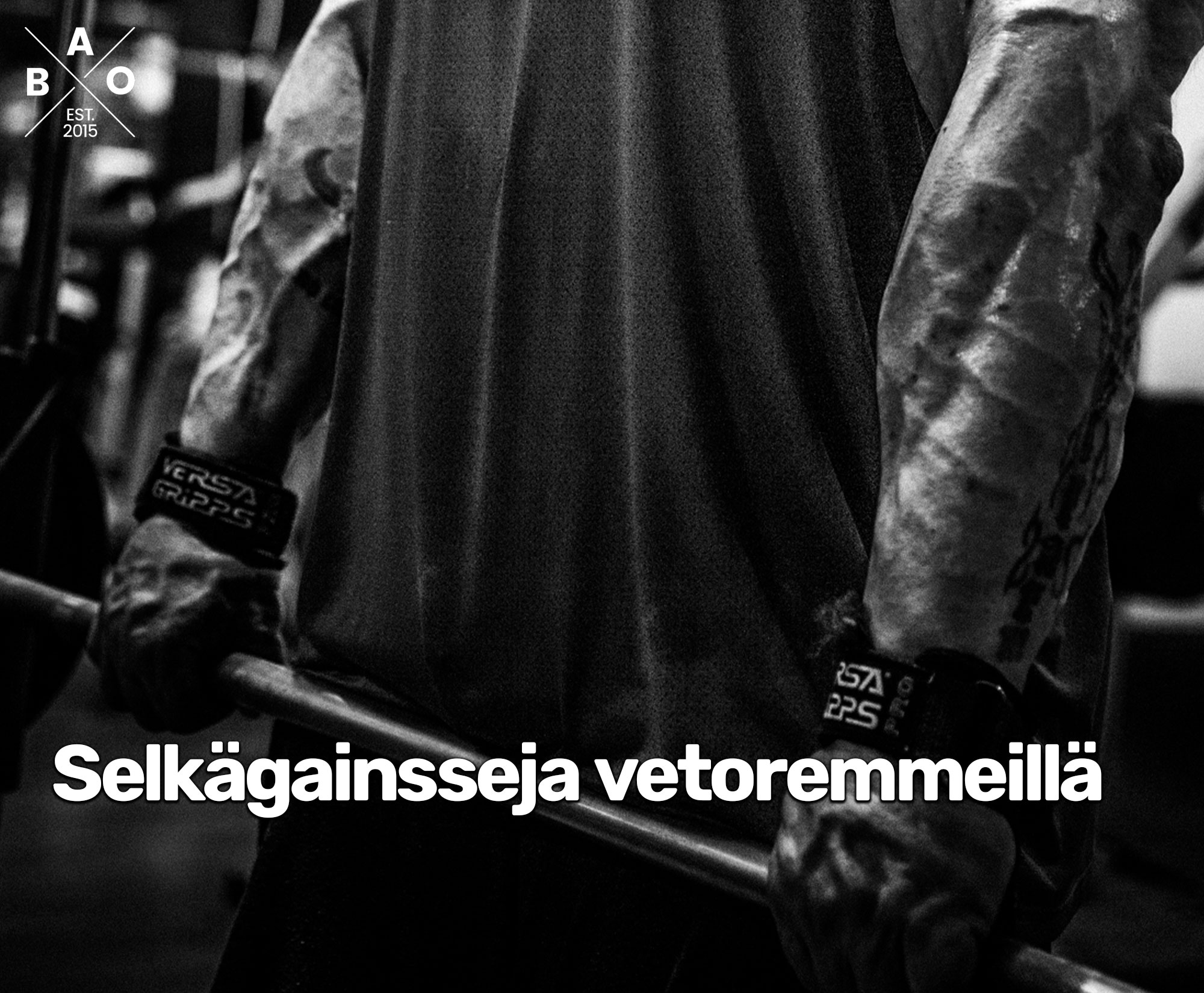 Selkägainsseja vetoremmeillä