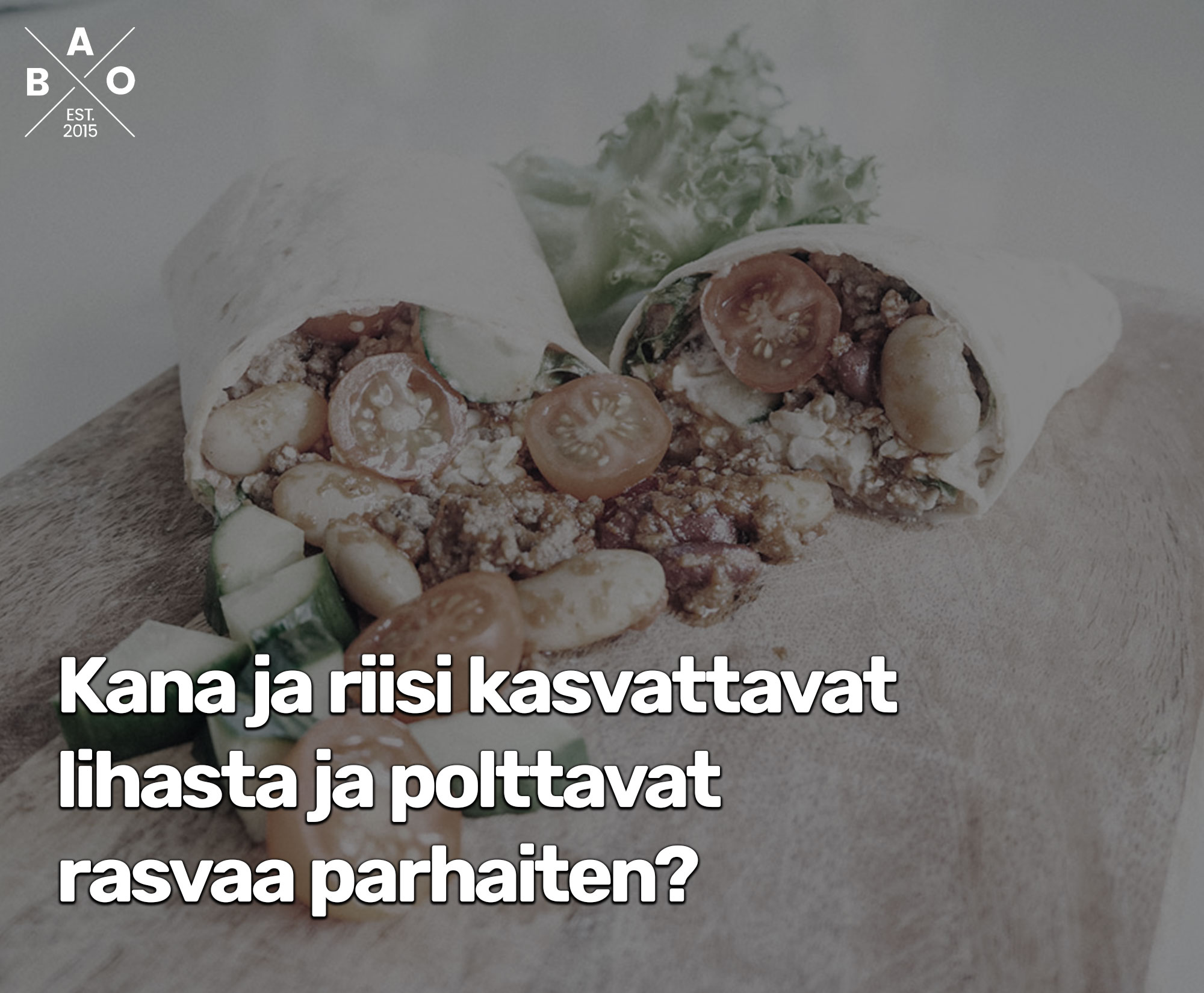 Kana ja riisi kasvattavat lihasta ja polttavat rasvaa parhaiten?