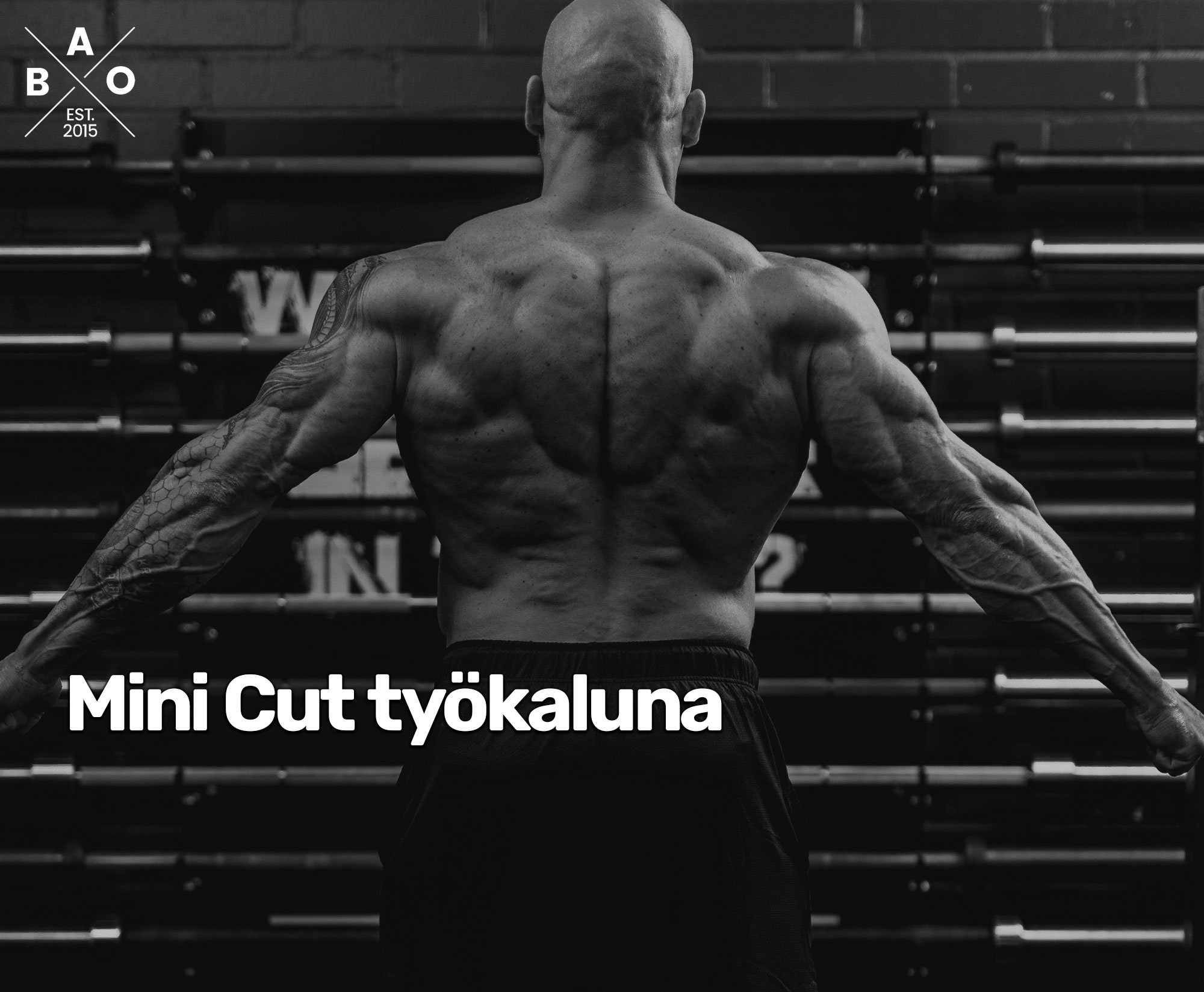Mini Cut työkaluna