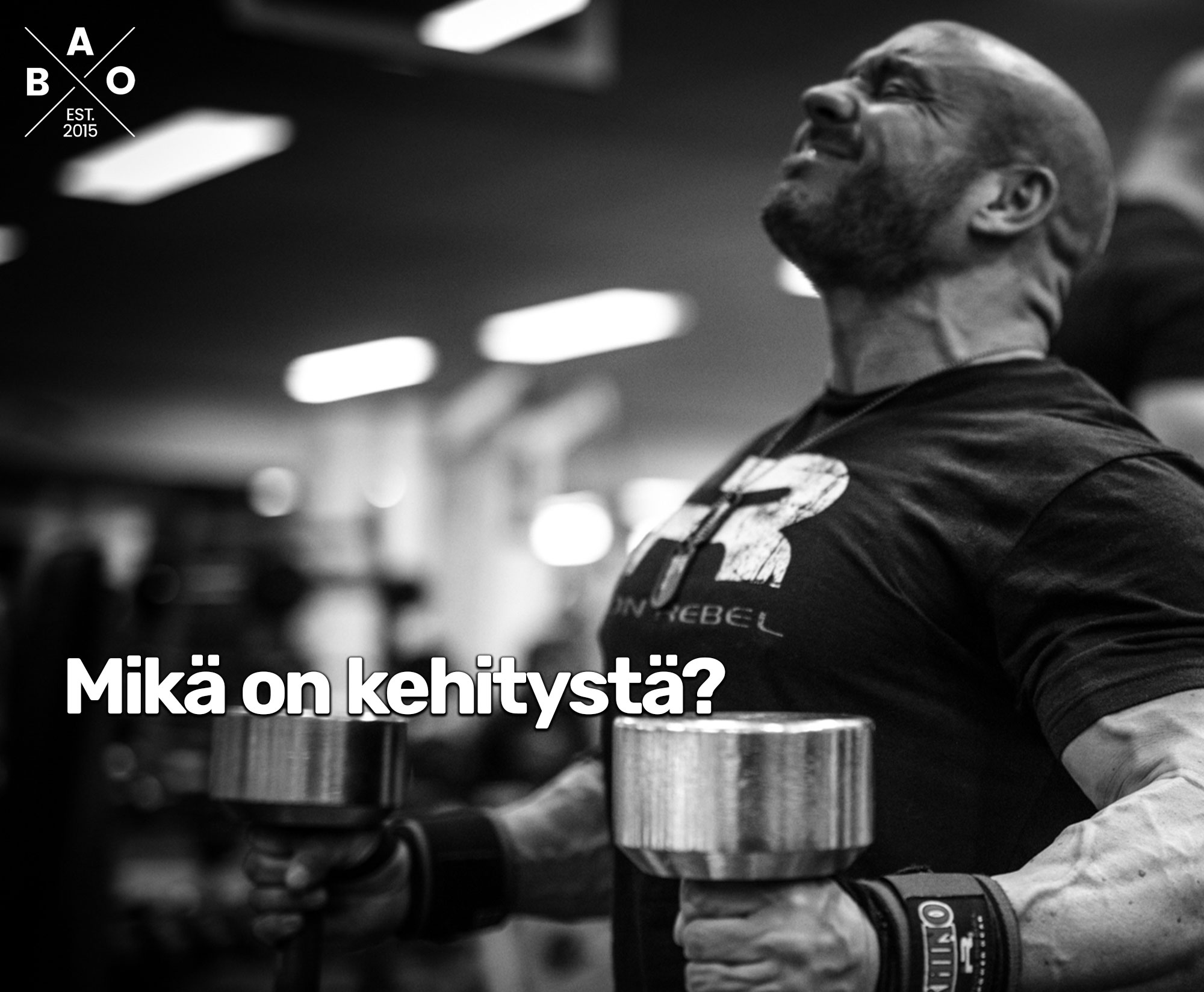 Mikä on kehitystä?