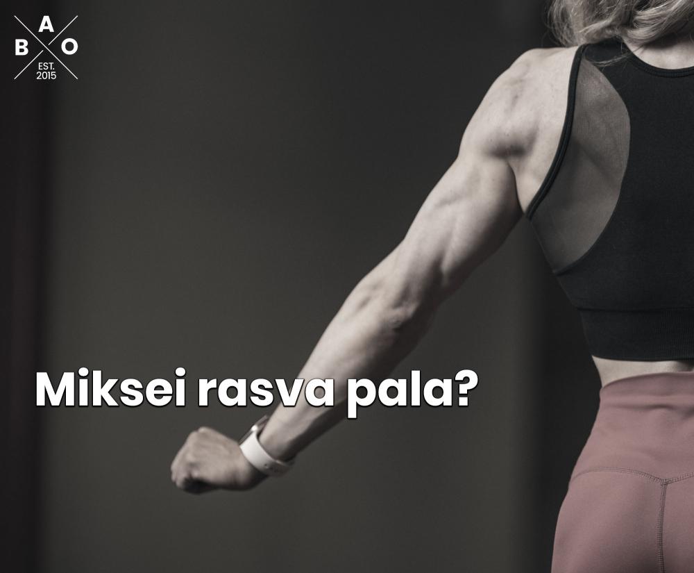 Miksei rasva pala?
