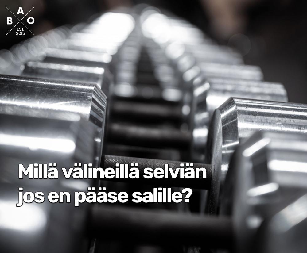 Millä välineillä selviän jos en pääse salille?