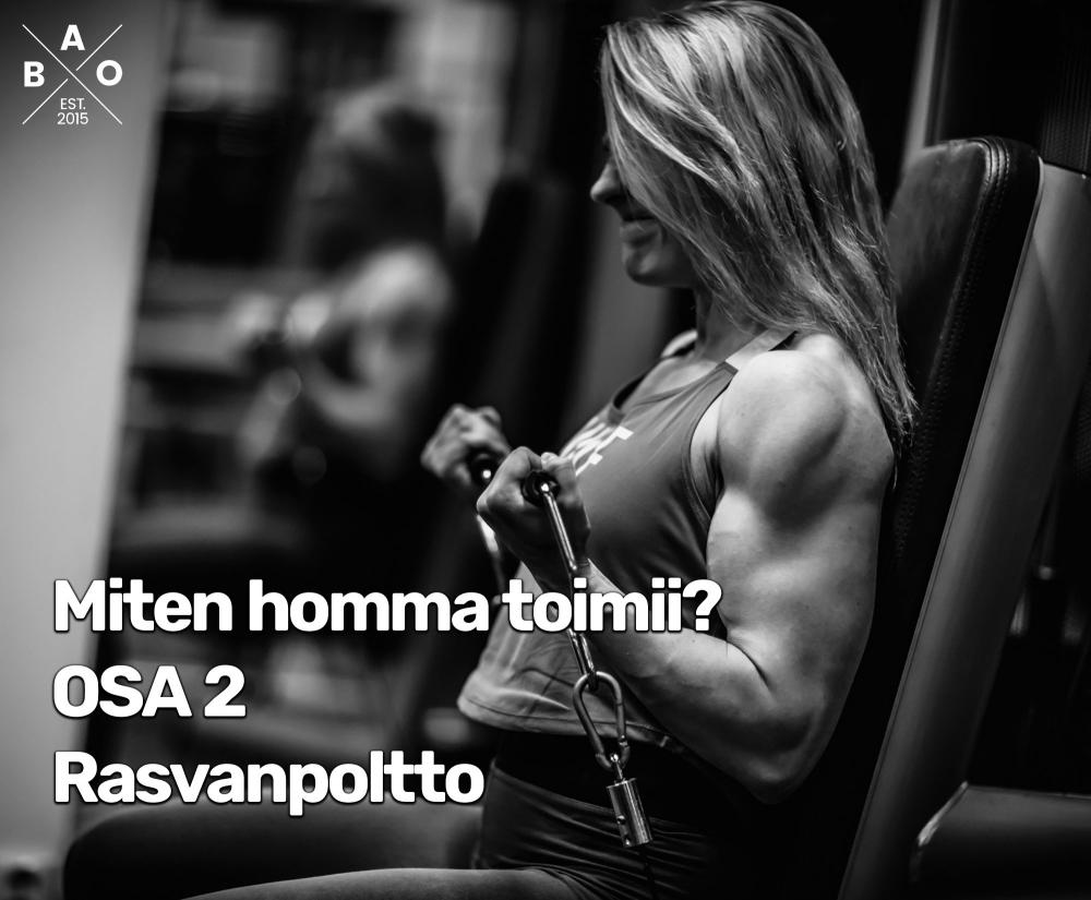 Miten homma toimii? Osa 2: Rasvanpoltto