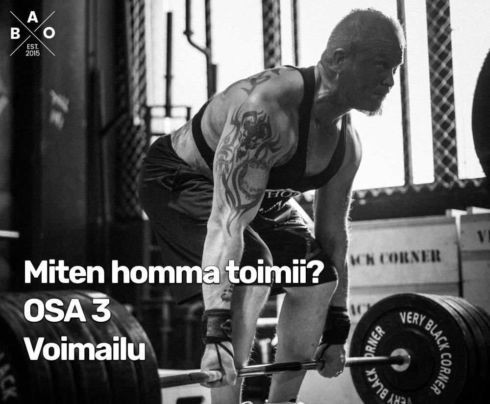 Miten homma toimii? Osa 3: Voimailu