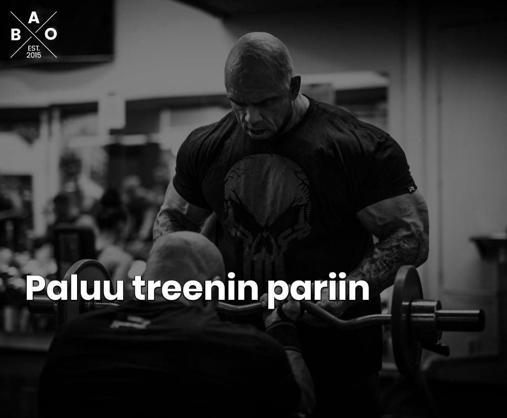 Paluu treenin pariin