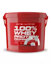 SCITEC 100% Whey Protein Professional, 5000&nbsp;g